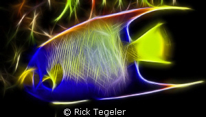 The Queen! by Rick Tegeler 